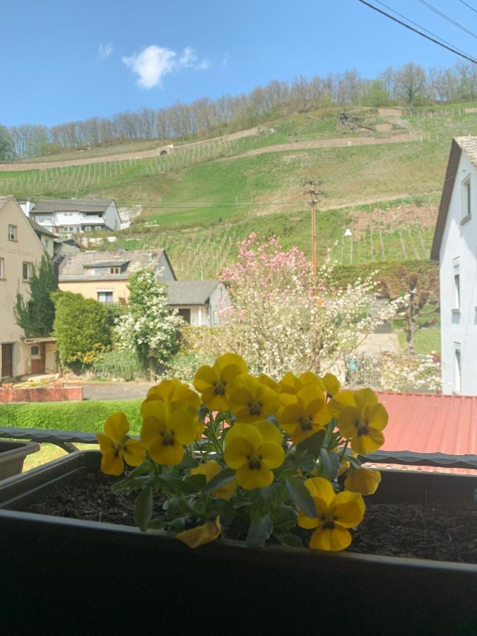 Ferienwohnung Mila Obernhof 외부 사진